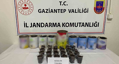 Gaziantep'teki uyuşturucu operasyonunda 1 gözaltı