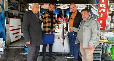 Kilis'te fiyatlar nedeniyle vatandaşların talebi balığa