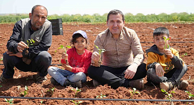Kilis'te biber fideleri dikimi çocuklarla başladı