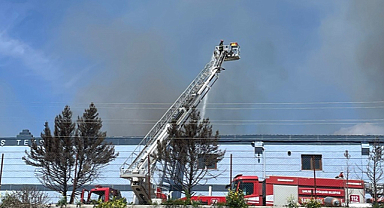 Şanlıurfa'daki bir tekstil fabrikasında yangın çıktı!