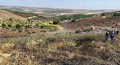 Kilis'te 15 dönümlük buğday tarlasında yangın!