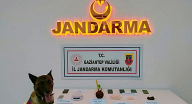 Gaziantep İl Jandarma Komutanlığı'ndan 823 gözaltı