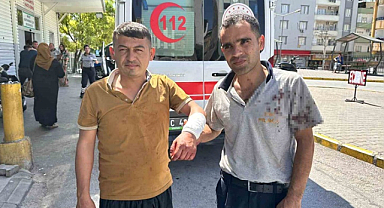 Gaziantep'te yaralanan acemi kasaplar hastanenin yolunu tuttu