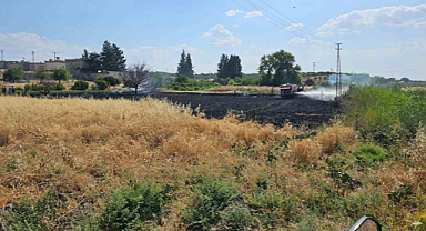 Karkamış'ta 10 dönümlük buğday tarlasında yangın