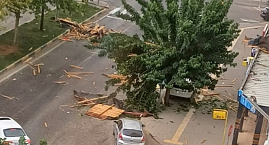 Nizip'te kuvvetli fırtına ortalığı birbirine kattı