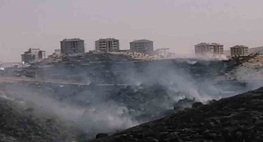 Nizip'te ormanlık alanda çıkan yangın ilerliyor!