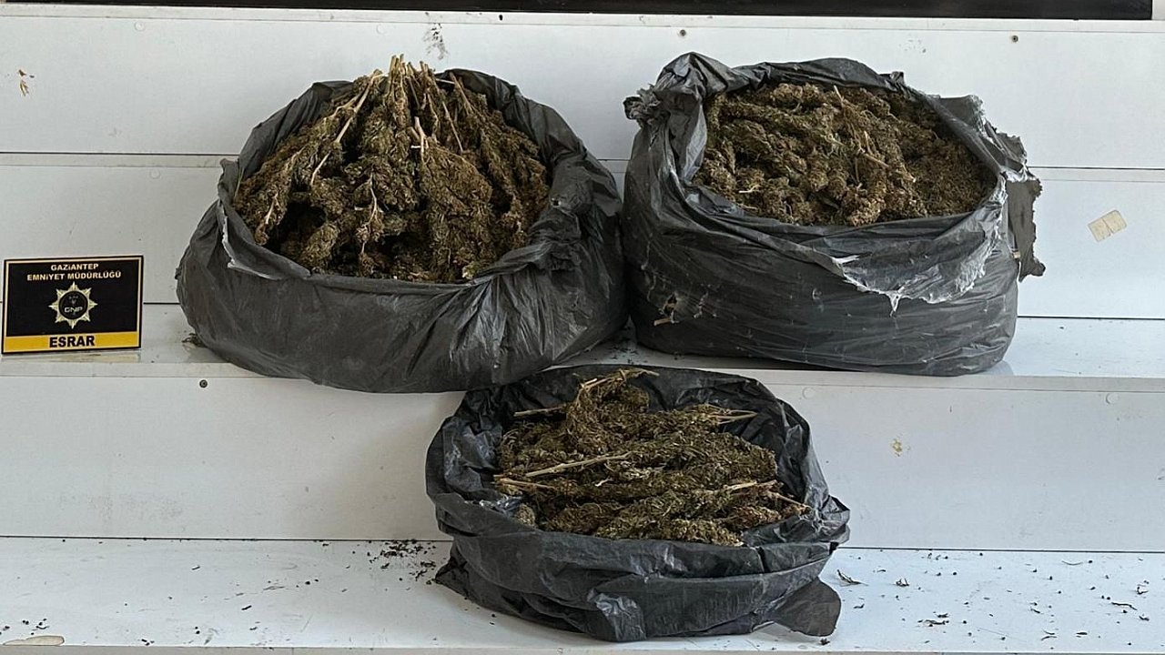 15 kilogram esrar ele geçirildi