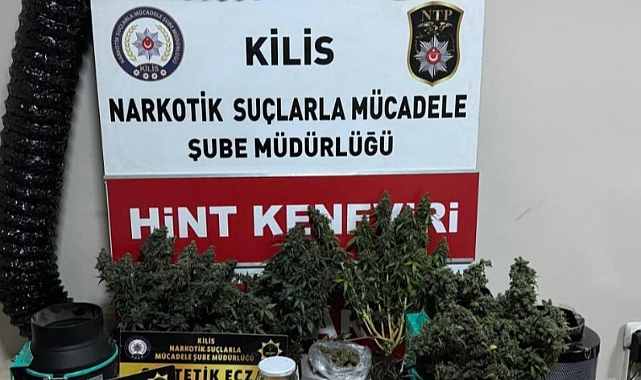 Evine uyuşturucu serası kuran şahıs tutuklandı