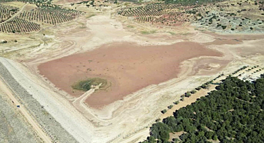 Musabeyli'deki Balıklı Göleti'nde balık ölümleri