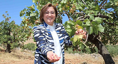 Antep fıstığı dünya listelerinde 2. sırada yer aldı