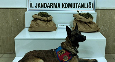 Gaziantep'te zehir tacirine jandarmadan operasyon