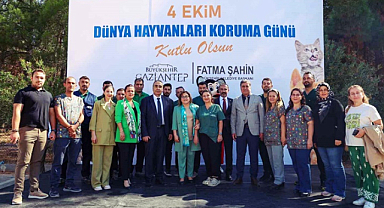 Gaziantep'teki sokak hayvanları özel günde unutulmadı