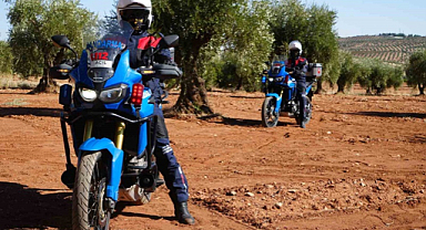 Kilis'te zeytinlikleri jandarma ekipleri koruyor