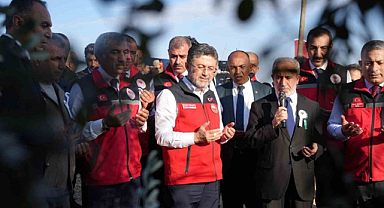 Bakan Yumaklı Kilis'teki zeytin hasadı etkinliğine katıldı