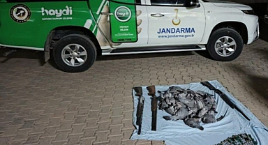 Şanlıurfa'da yaban güvercinlerini avlayanlara para cezası