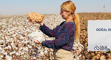 Şanlıurfa'daki doğal renkli pamuk üretiminde başarı